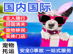 宁波航空运输国际宠物托运 【国